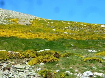 El Morezón - Sierra de Gredos; amigos; conocer gente; la pedriza;calidad en el senderismo